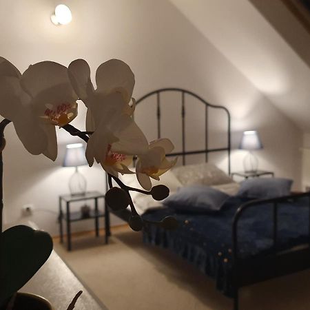 Mieszko Rooms Legionowo Εξωτερικό φωτογραφία