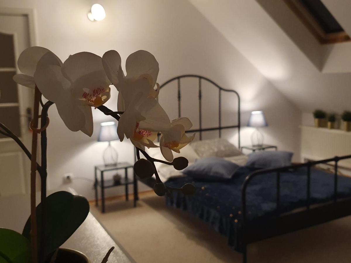 Mieszko Rooms Legionowo Εξωτερικό φωτογραφία